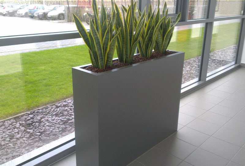 Narrow rectangular plant displays are space saving & ideal for office corridors