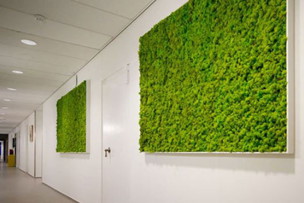 Moss Pictures make excellent decoration for modern minamalistic offices