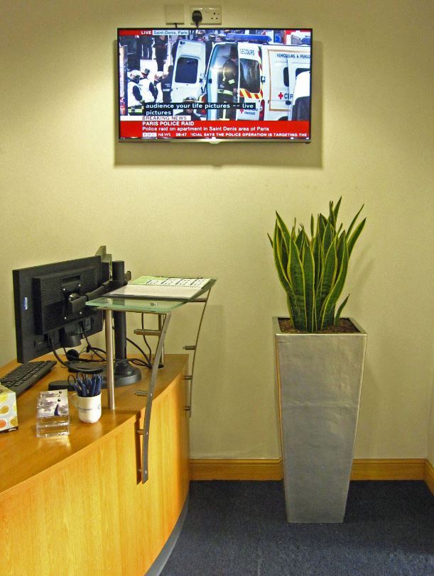 Colurful & Compact Sansiveia Plant Displays decorates an empty corner by the main office Reception CV10 7RJ