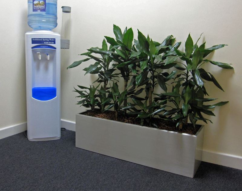 Office Breakout area is made more relaxing with a rectangular plant display with Dracaena Studneri