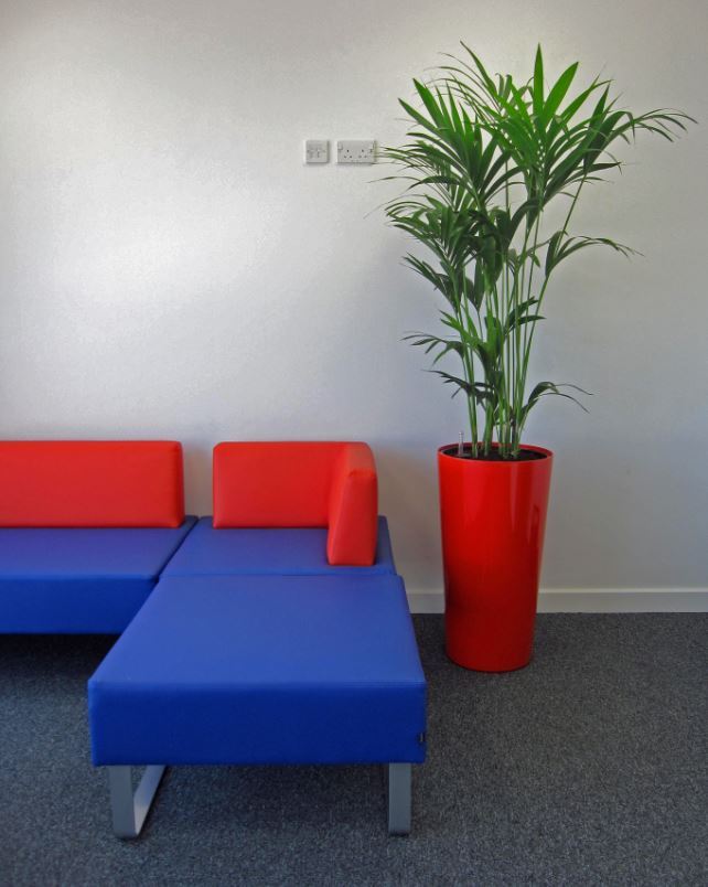 Office Breakout area with a Striking Red Plant Display next to funky modern seating