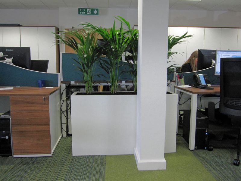 Tall rectangular Barrier Plant Displays is a perfect fit to screen off this office desk