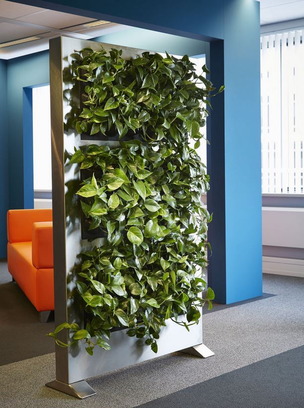Green Office Plant Screen