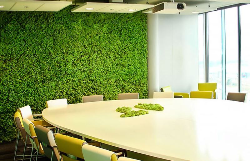 Green Moss walls are cost effective & low maintenance