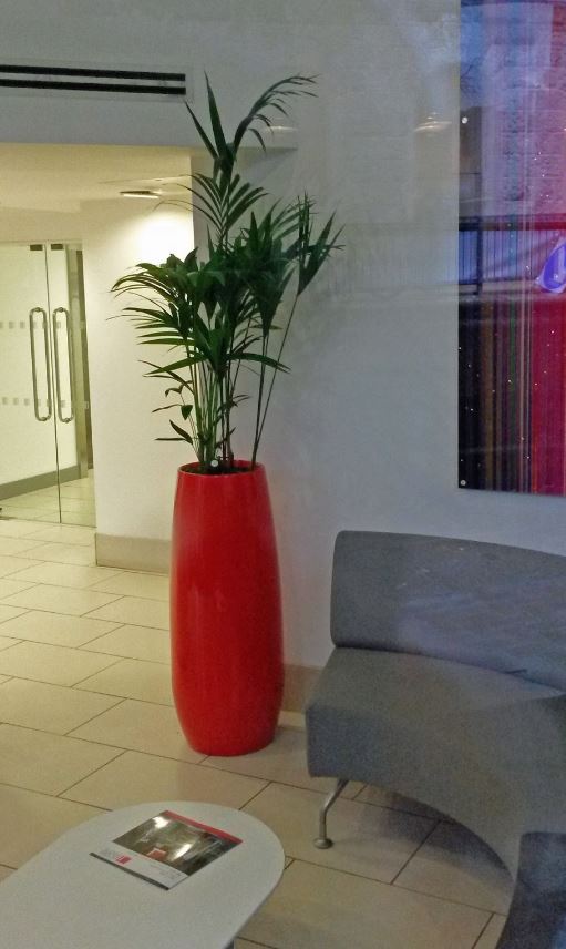 Retro Modern Ying Plant Display stands in this Derby office Reception next to a Settee