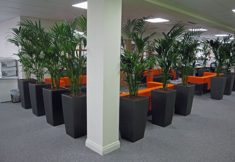 Commercial Engineers in Derby DE1 use plants to make their offices more productive