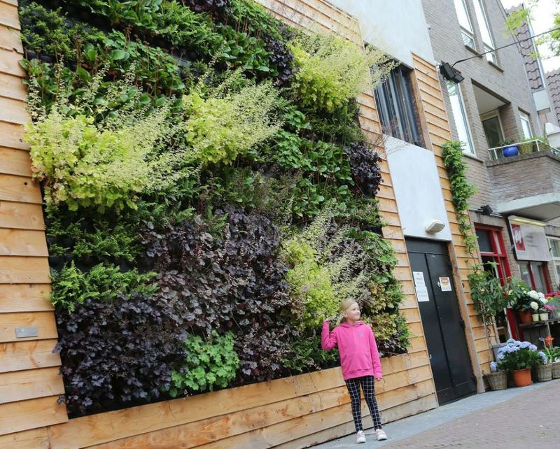 Green walls are making our cities healthy & gorgeous