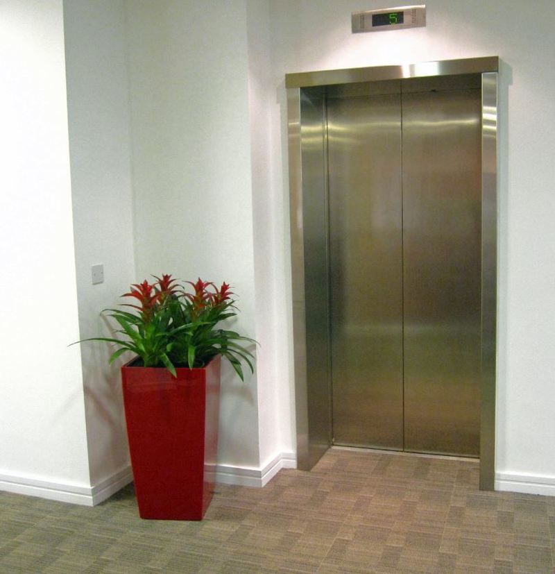 Red plants in a red container add colour to a white walled office lift lobby