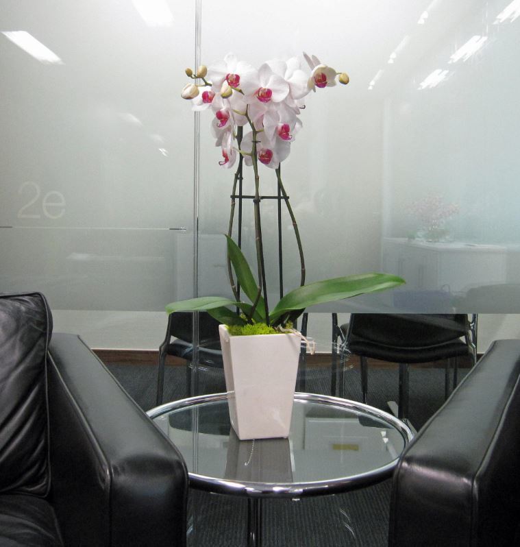 Artificial Orchid table top display for the main Reception