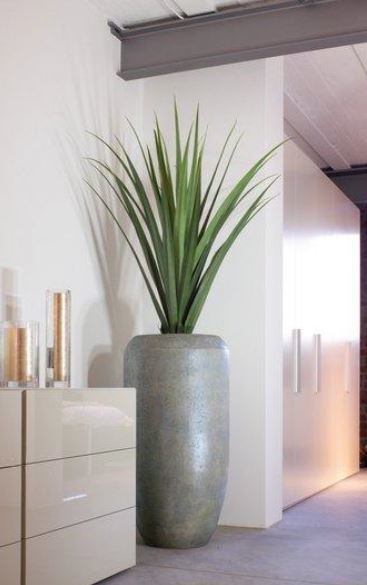 Cement Cigar Planters for office interiors