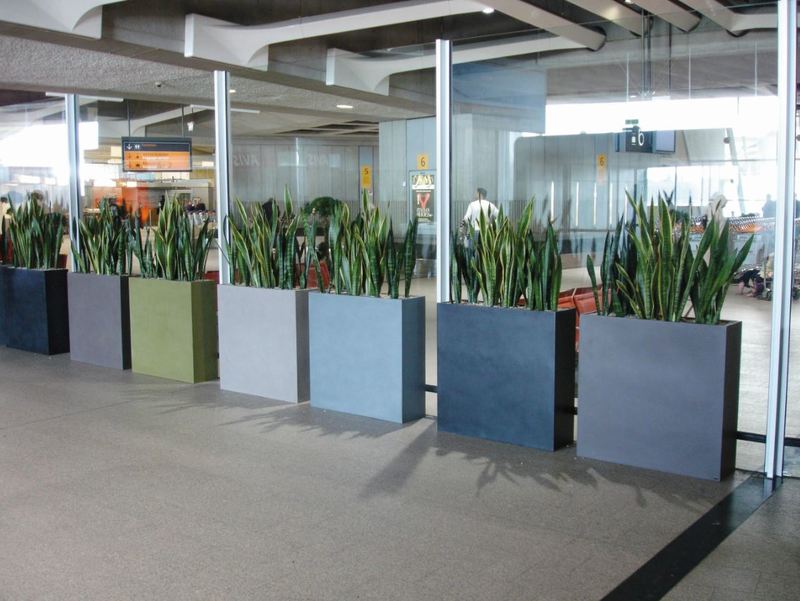 Different coloured Barrier plant Displays add green style to this glass window in Derby