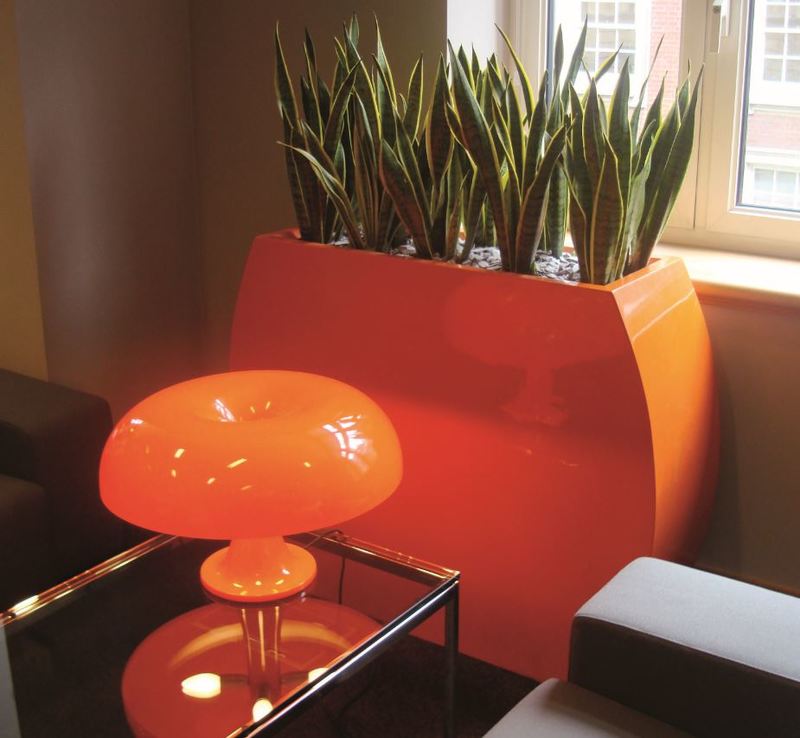 Curvy Bridget Barrier plant container looks striking on this Derby office waiting area