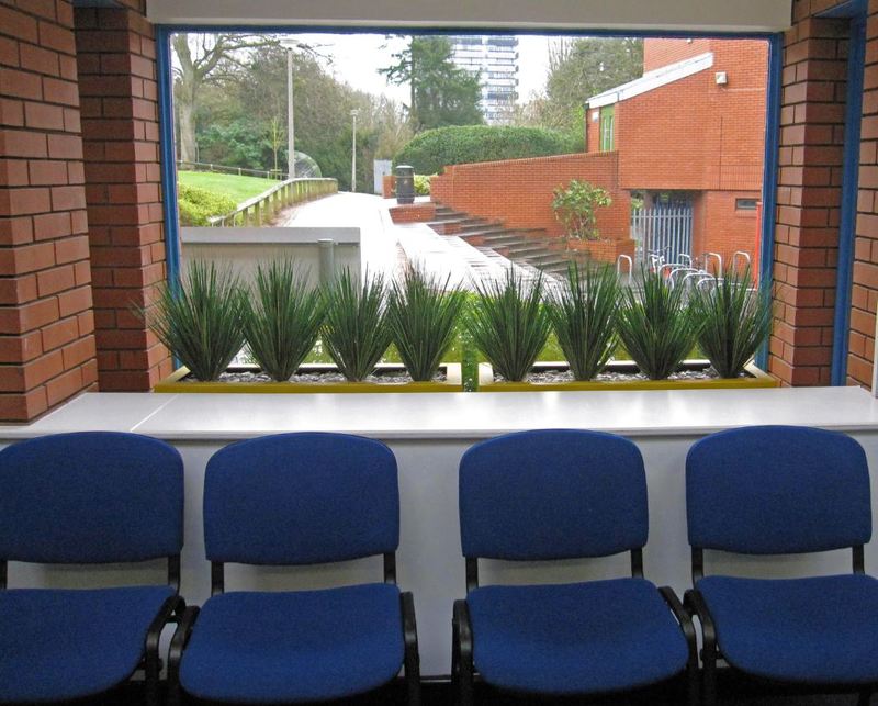 Very realistic artificial grass plants in this Coventry School Reception