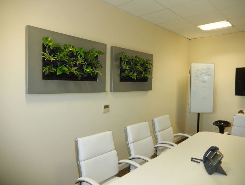 mini Green Walls with live plants for Milton Keynes offices
