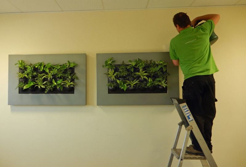 1 mini Green Walls, Live Pictures, Living Pictures for offices & Restaurants