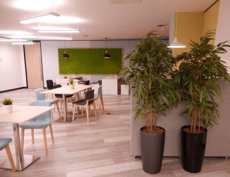 Moss wall & artificial bamboo plants in this Milton Keynes  serviced office reception