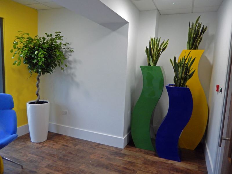Cool & Stylish Plants for this Leamington Spa office Breakout area