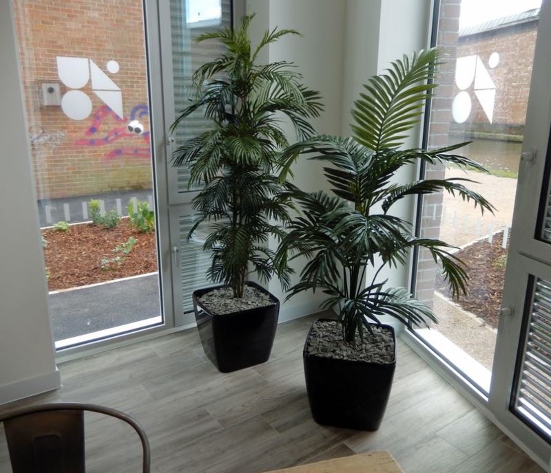 Artificial Palm Plants in the corner of this office Breakout area