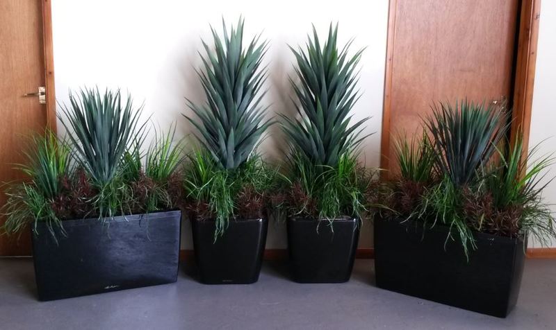 Artificial Plants for Mercedes Benz Car Showroom