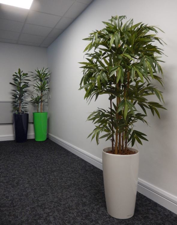 Very realistic Artificial Bamboo tree planted into a tall circular white Rondo container