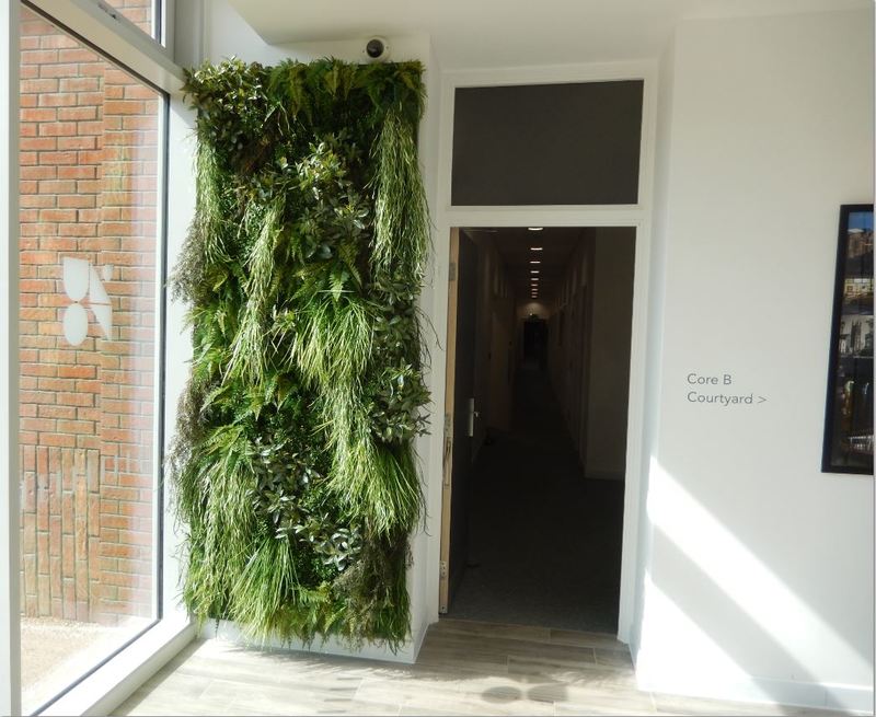 Artificial Green Walls supplied & installed in Manchester, Leeds & Liverpool