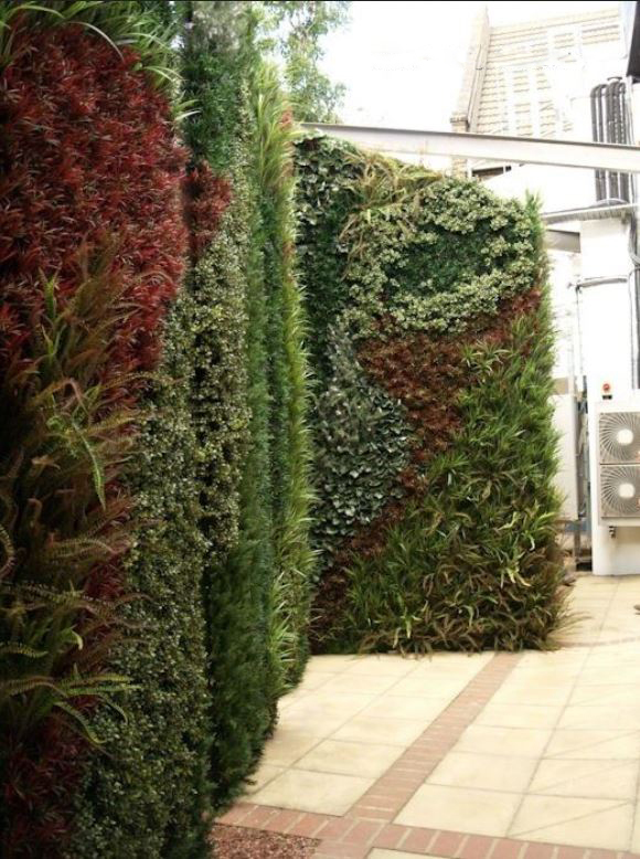 Large Green Wall patterened with different species of plants
