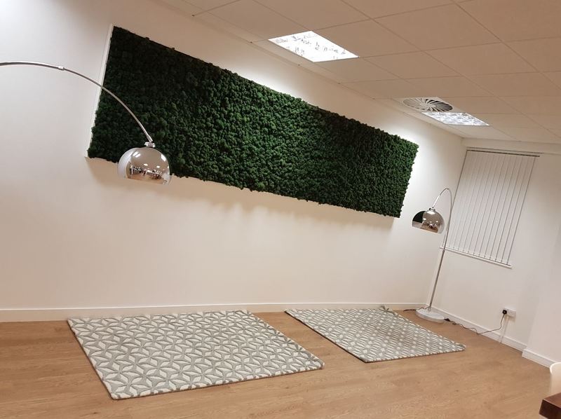 Real Preserved Reindeer Moss Wall for this Office Breakout area