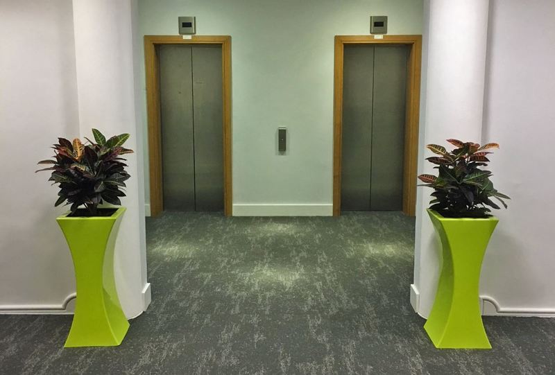 A pair of curvy Lime Green plant displays for this office lift lobby