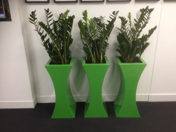 Curvy Sophia Plant Displays for office Meeting Room in Derby DE1