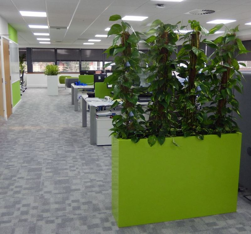 Tall Rectangular Barrier Plant Display create a healthy green office divider