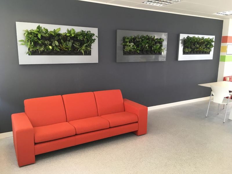Wall mounted interior landsaping for this Nottingham office breakout area