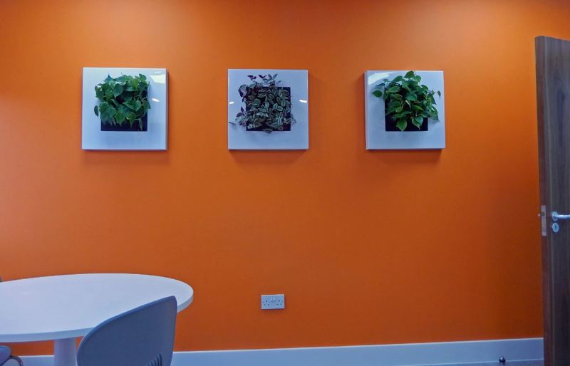 Wall mounted interior landscaping for greener walls