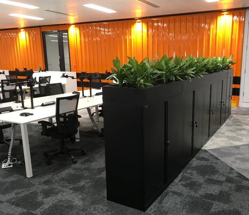 Plants for the office Cabinet top displays