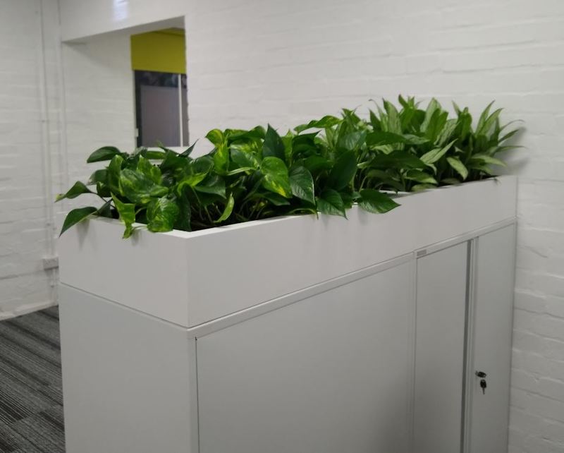 Cabinet Toppers interior landscaping plants for this Nottingham office