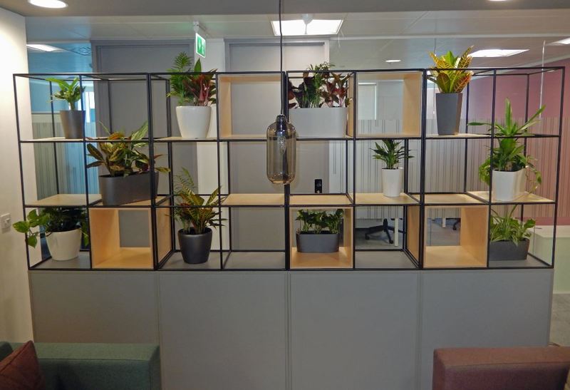 Plant on shelves interior landscaping in Nottingham