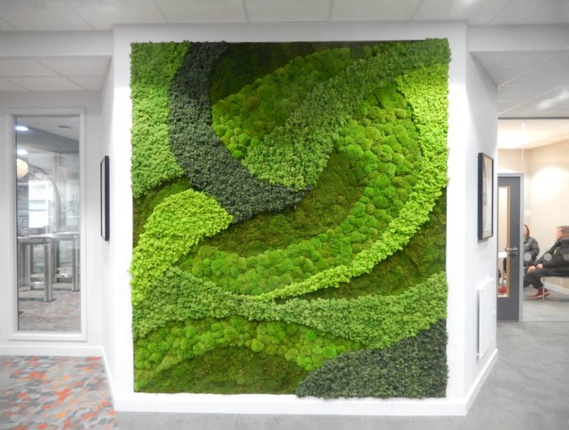 Moss Wall Art Wow Factor for this Birmingham building Reception