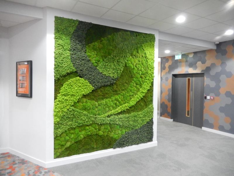 Moss Wall Art Design for this Birmingham office Reception