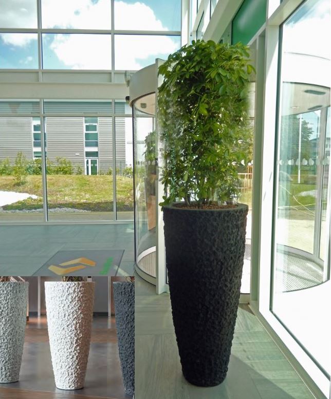 Extra Large Lava Plant pot in this Cannock HQ office Reception