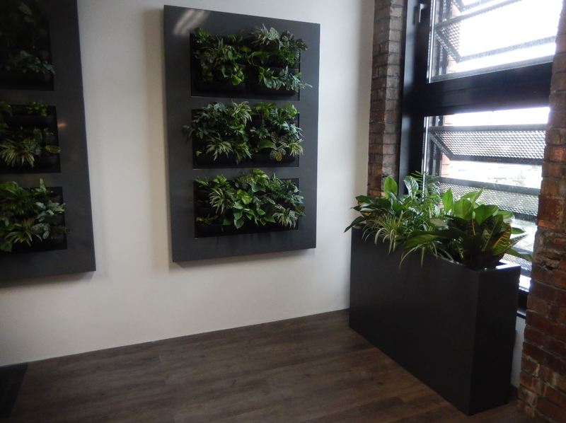 Green Office Walls with Live Picture XL wall mounted plant displays