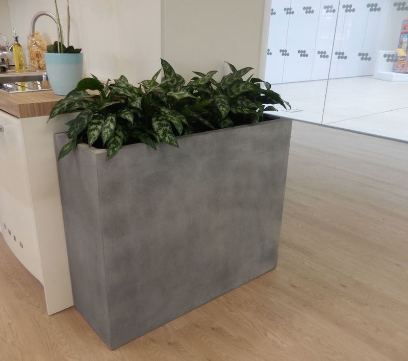 Rectangular Fibrestone Barrier display in office showroom with aglaonema maria plants