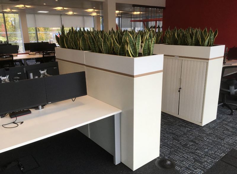 Tailor made bespoke cabinet top plant displays and green desk screens for West Midlands office