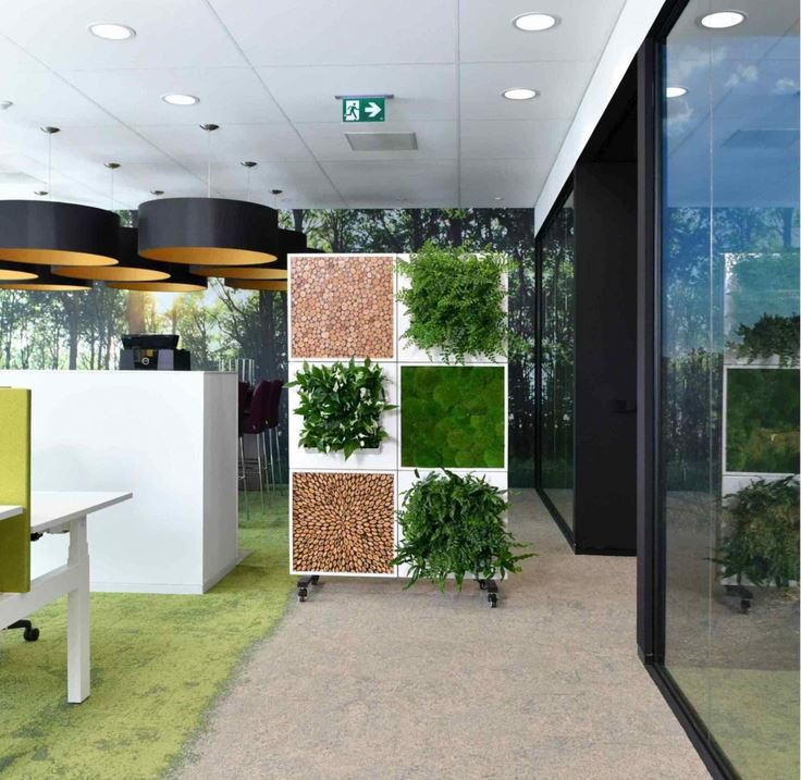 Portable office screen room dividers with moss wood and plants