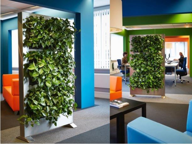 Green Walls on wheels portable office dividers with plants