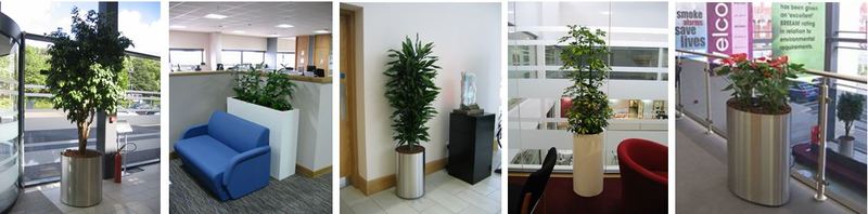 Plants for West Midlands Fire Sevice Office HQ