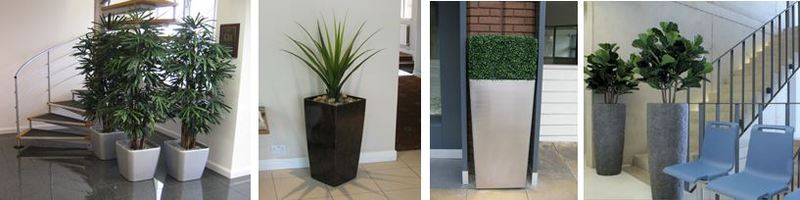 Derby and Nottingham offices with artificial plant displays
