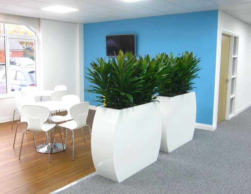 Offices in Derby City Centre have functional Plant Displays for screening