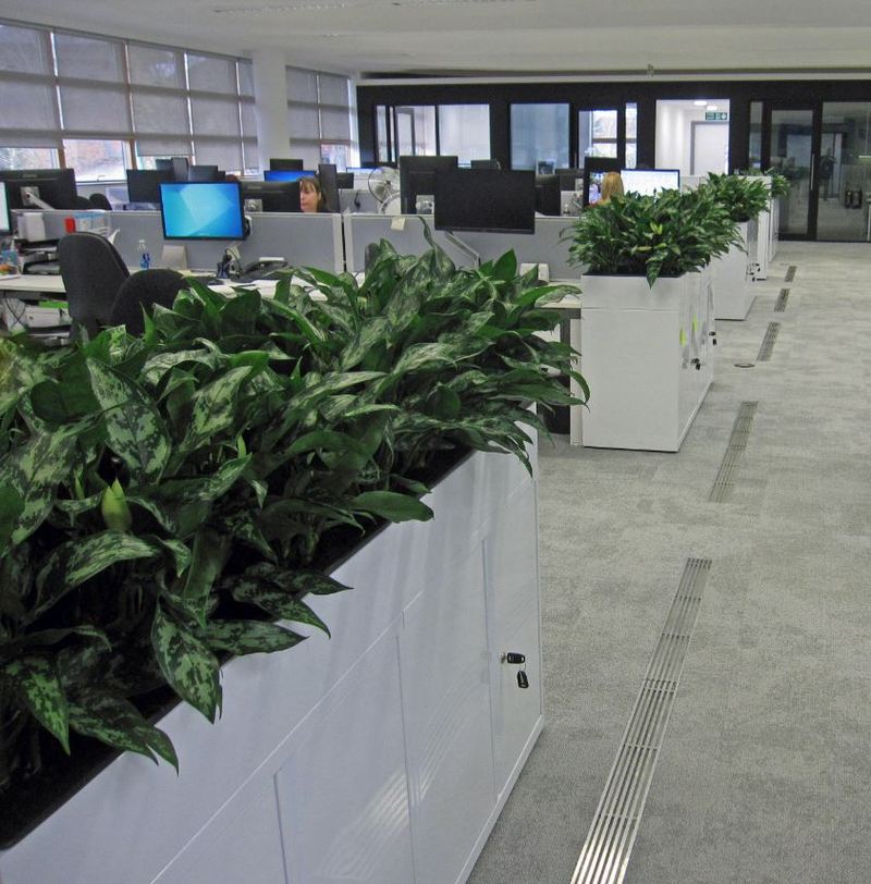 Highly visible space saving cabinet planters were used in this Abingdon office