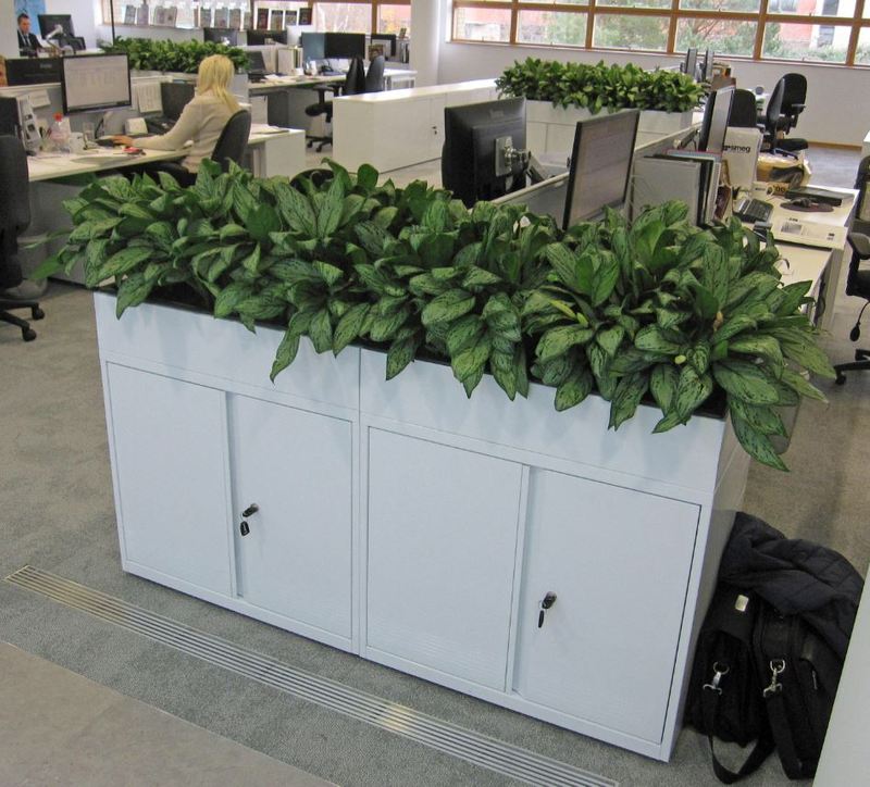 Cabinet top plants supplied throughout this abingdon office