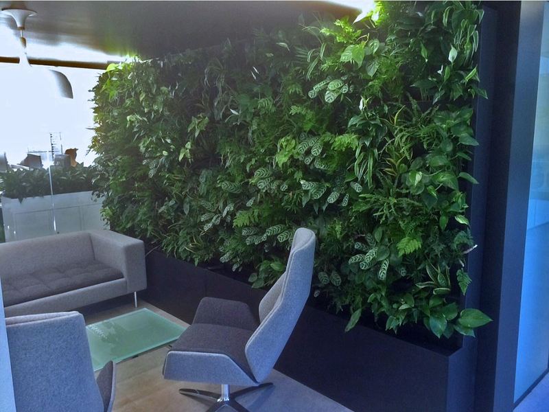 Living Green walls for Birmingham and the Midlands