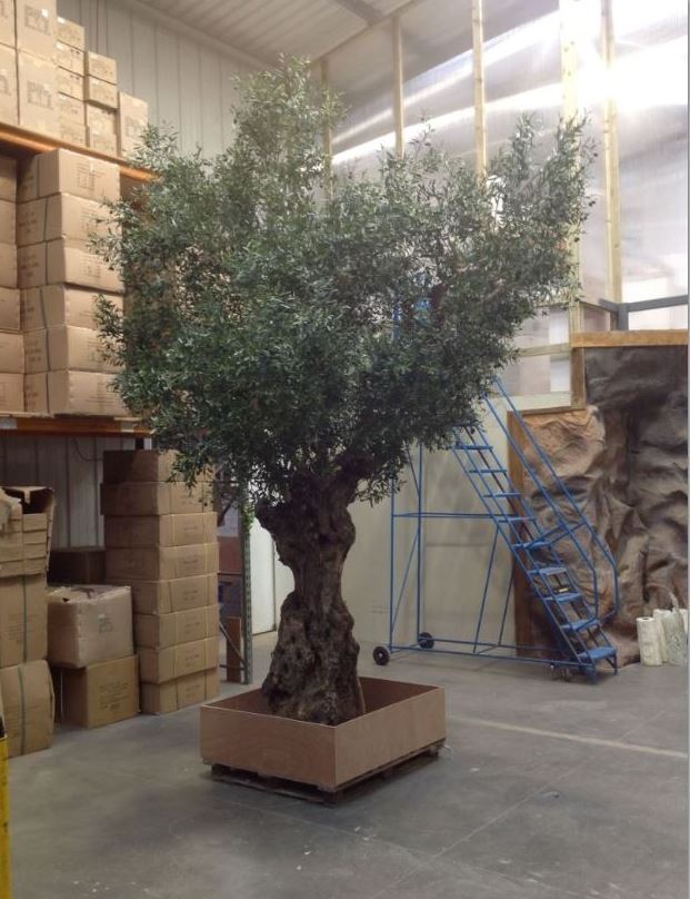 Artificial olive tree awaiting despatch